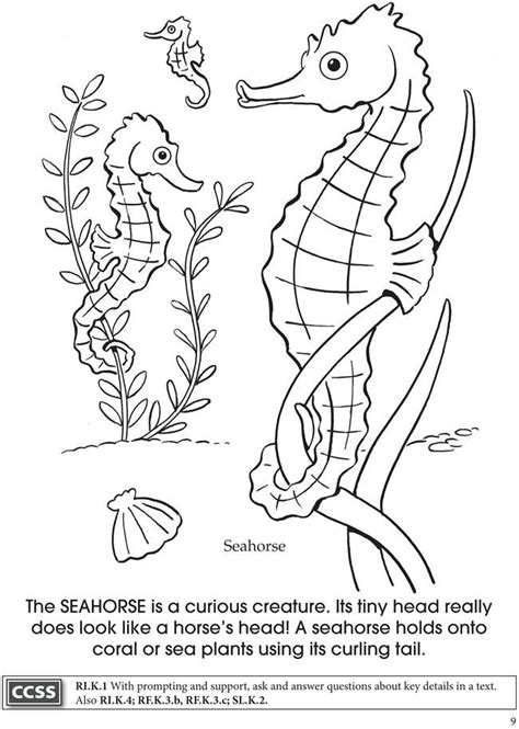 You can use our amazing online tool to color and edit the following aquarium coloring pages for kids. Welcome to Dover Publications | Coloring pages, Coloring ...