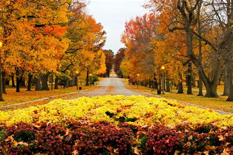 St Louis Energized Autumn In Tower Grove Park Grove Park Park