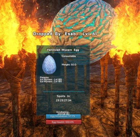 My spino eggs are having no luck. How To Hatch A Wyvern Egg In Ark Ragnarok