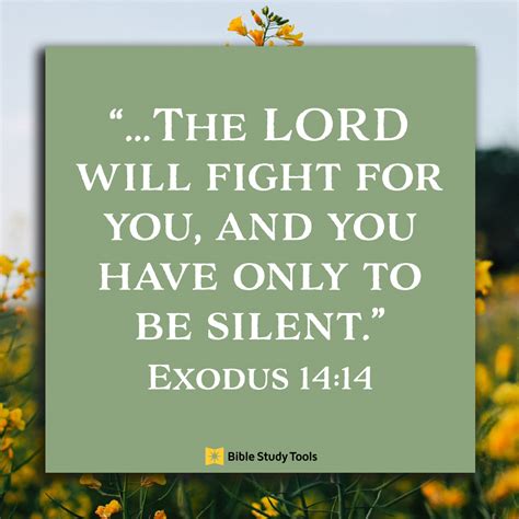 How To Handle Your Hurt Exodus 1414 Your Daily Bible Verse March
