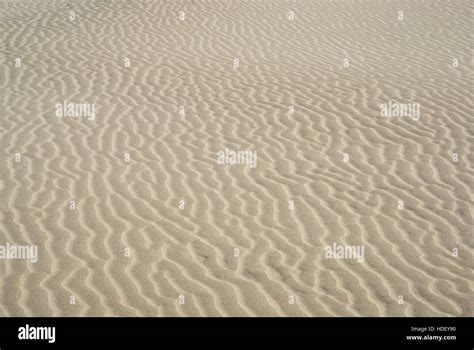 Ripples In Sand Dunes Stock Photo Alamy