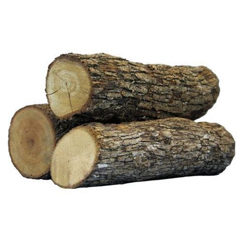 Brown Round Beach Wood Log Rs 300 Cubic Feet Sunrise Timber Id 14756338030