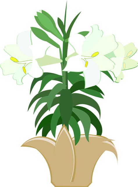 Clip Art Easter Lilies Png Download Full Size Clipart 5528657