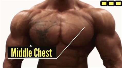 Effective Chest Workout Build Bigger Chest Youtube