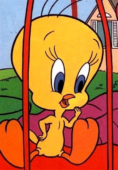 165 Best Tweety Bird Images On Pinterest Looney Tunes