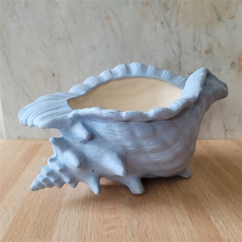 Conch Shell Planter Etsy