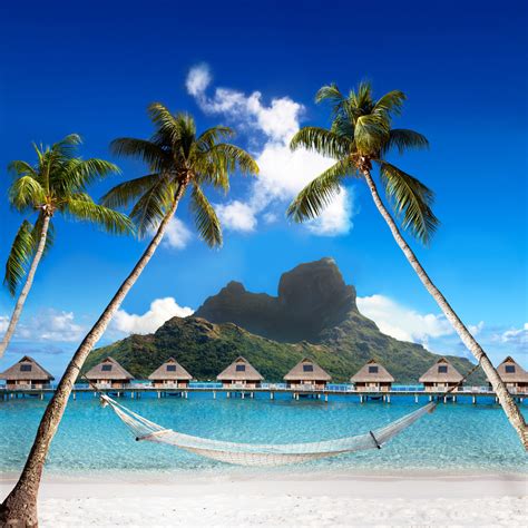 3d Cruise And Travel Moorea And Bora Bora Review