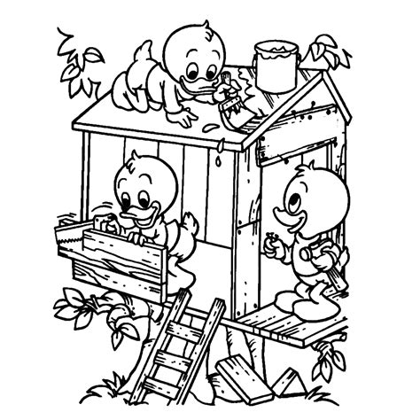 Leuk voor kids Kwik, Kwek en Kwak bouwen een boomhut