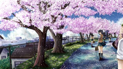 Anime Background Cherry Blossom Japanese Sakura Anime Hd Wallpaper