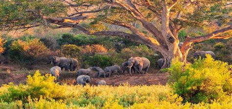 10 Tourists Attraction In South Africa Blog With Hobbymart Uncategorized