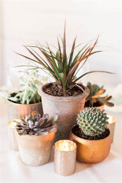 Baby bedding bumpers 6pcs animal print 100% cotton cactus bed around protection. Kara's Party Ideas Southwestern Cactus Baby Shower | Kara ...