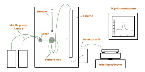 Size Exclusion Chromatography Molecular Weight In Steps