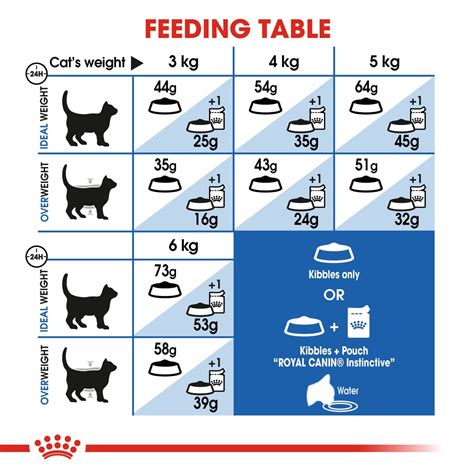 Cat Food Optimal Nutrition For Felines Happypets