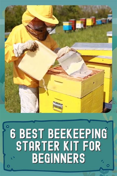 The 6 Best Beekeeping Starter Kit Of 2021 Video Video In 2021