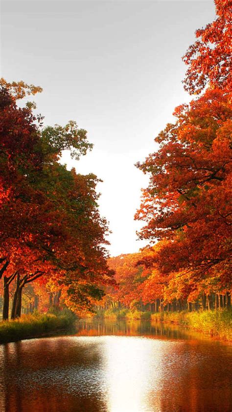Free Download Autumn River Wallpaper Free Iphone Wallpapers 640x1136