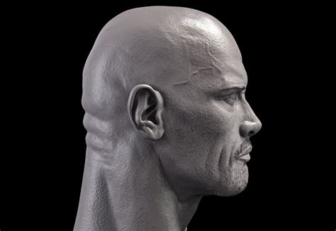 The Rock Head Dwayne Johnson 3d Model 3d Printable Cgtrader