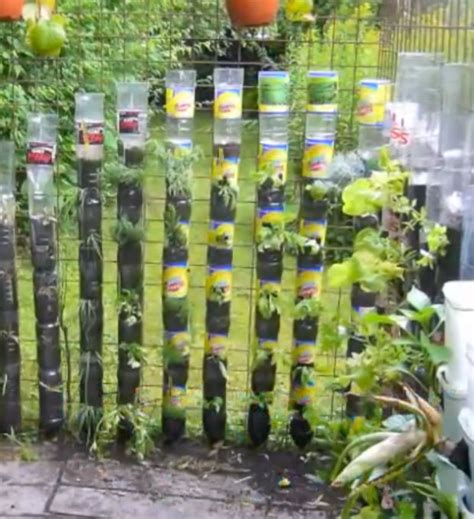 Bottle Tower Gardens Provide Exceptionally Efficient Small Space Growing Off Grid World