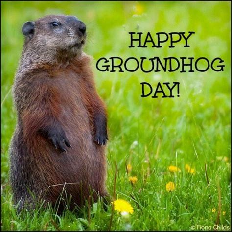 Happy Groundhog Day Image Quote Pictures Photos And Images For