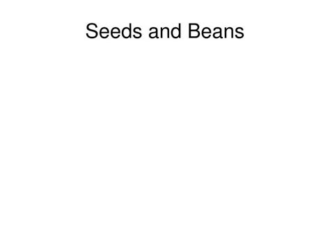Ppt Seeds And Beans Powerpoint Presentation Free Download Id