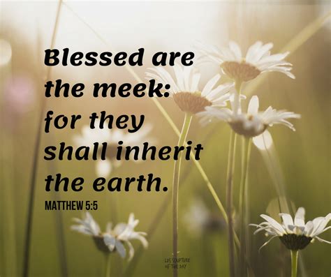 Matthew 55 Latter Day Saint Scripture Of The Day