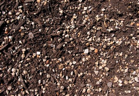 How to grow squash in containers black gumbo. Soil Building Systems, Organic Compost, Hardwood Mulch ...