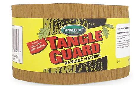 Tanglefoot Tangle Guard Tree Wrap 3 X 50 Amazonca Patio Lawn