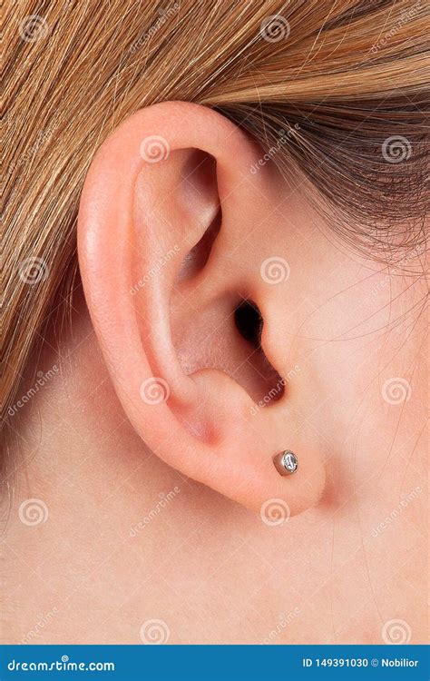 Shot Of Female Ear Stock Photo Image Of Acoustic Female 149391030
