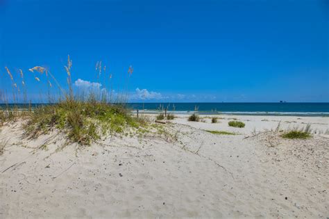 Pet friendly vacation rentals in gulf shores: » Beach Music | Pet Friendly Gulf Shores Rental | Harris ...