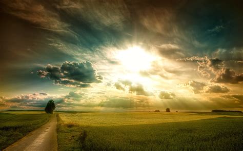 Sunny Fields Hd Nature 4k Wallpapers Images Backgrounds Photos And