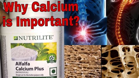why calcium is important कैल्शियम हमारी बॉडी के लिए क्यों जरूरी है youtube