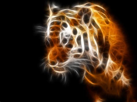 Animal Tiger Wallpaper