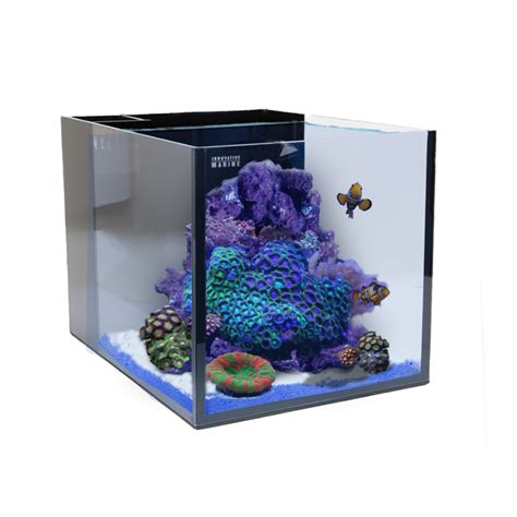 Nano Reef Tanks The Pro And Cons Of Small Reefs Mad Hatters Reef Tank
