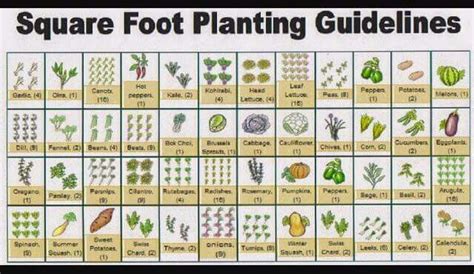 Many gardens don't have earth, which meets these criteria. Square Foot Gardening | Vegetable garden planner, Garden ...