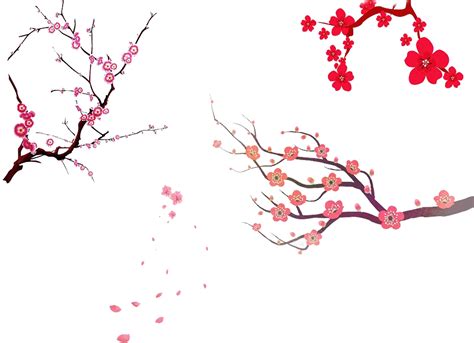 Download Cherry Blossom Tree Branch Png Sakura Tree Painting Png Png