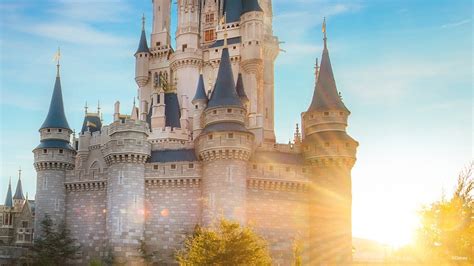Walt Disney World And Seaworld To Present Reopening Plans For Orange