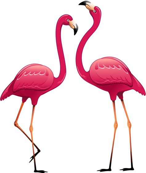 Flamingo clipart float, Flamingo float Transparent FREE for download on png image