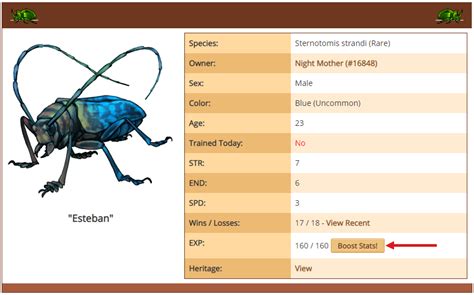 There is so much to do! Beetle Battles - Lioden Wiki