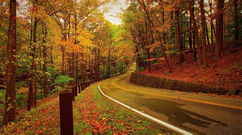 1920x1080 Autumn Forest Road 1080p Laptop Full Hd