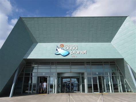 7 Exotic Aquariums In South Korea To Explore 10 Magazine Korea