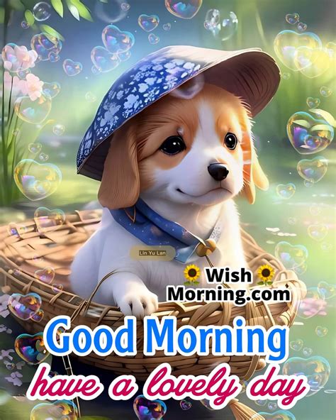 Good Morning Dog Images Wish Morning