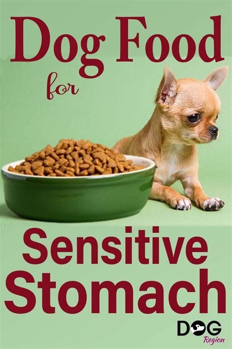Best Dog Foods With Sensitive Stomachs Low Fat Dog Food Best Dry Dog