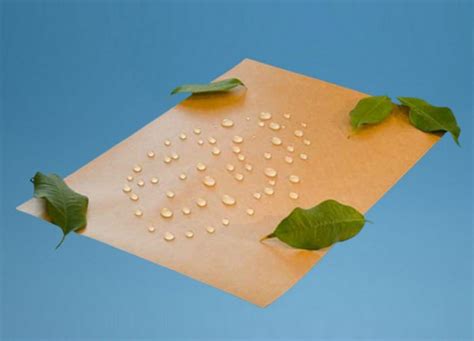 Water Resistant Paper Brings Plastic Alternative