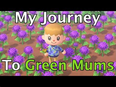 These will be a mix of oak trees, pine trees and fruit trees (that contain your native fruit). MY JOURNEY TO GREEN MUMS | ANIMAL CROSSING - YouTube