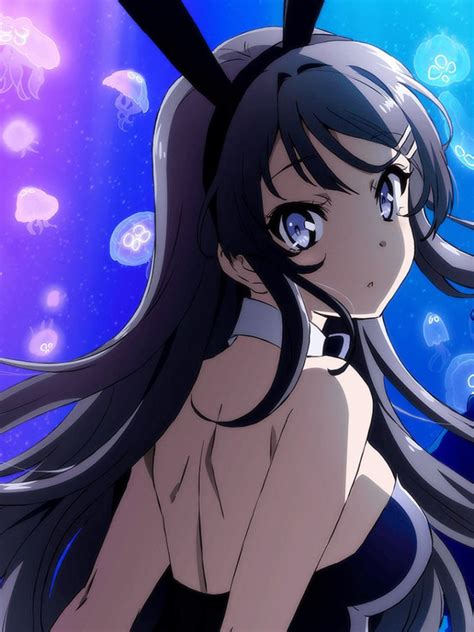 Free Download Rascal Does Not Dream Of Bunny Girl Senpai Hd Wallpaper 1920x1080 For Your