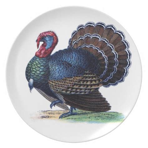 Thanksgiving Turkey Dinnerware Plate Zazzle
