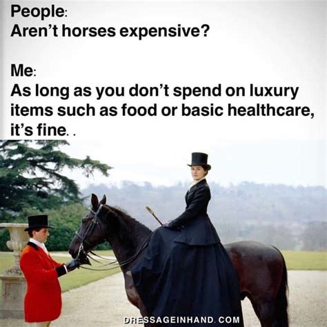 17 Of Our Favorite Equestrian Memes