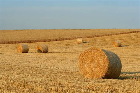 Hay Bale Stock Image Image Of Farm Crop Countryside 1026465