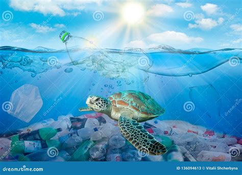 Plastic Pollution In Ocean Environmental Problem Turtles Can Eat