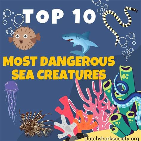 The 10 Most Dangerous Sea Creatures In The World