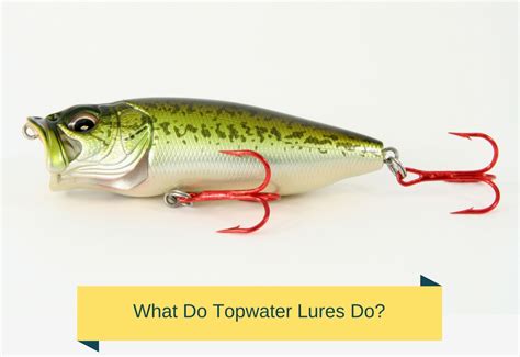 What Do Topwater Lures Do Flash Tactical
